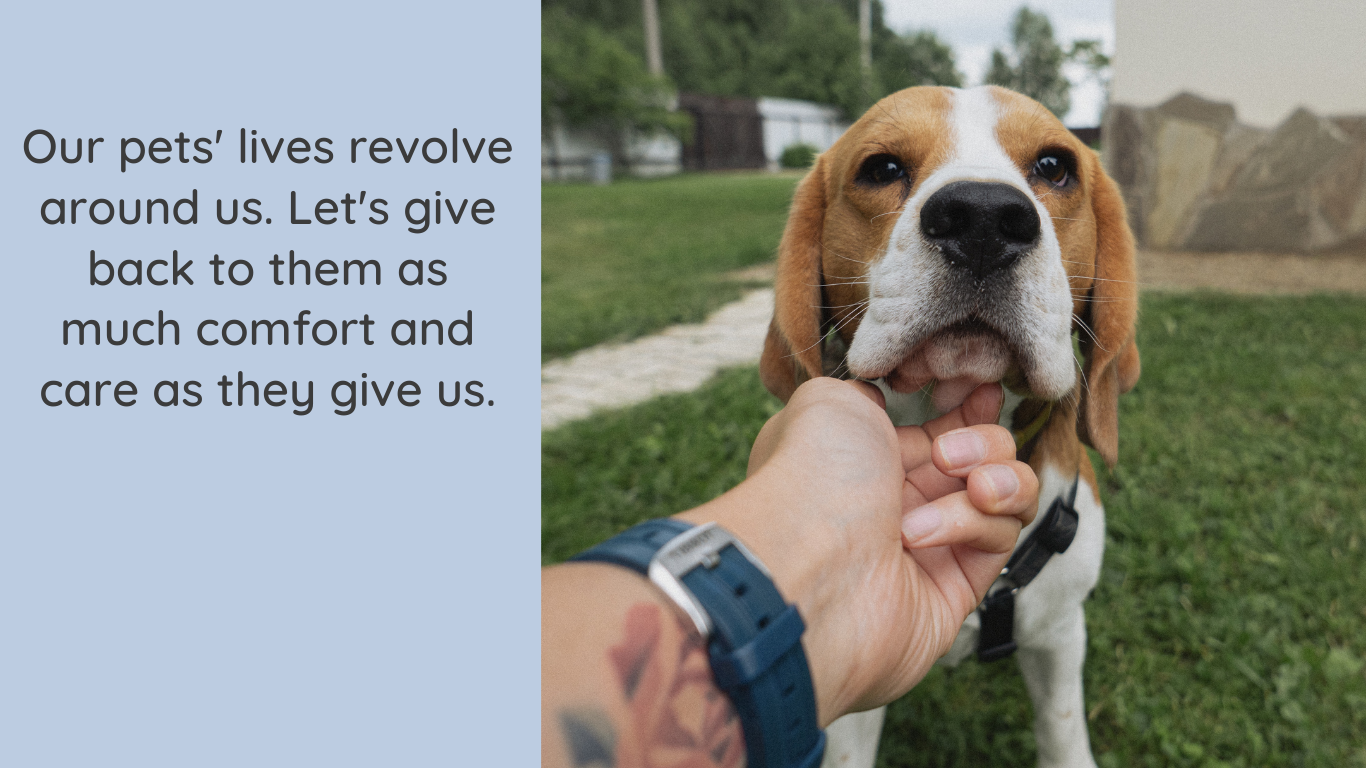 Alleavia-support-team-contact-dog-help-order-cancel-refund-delivery