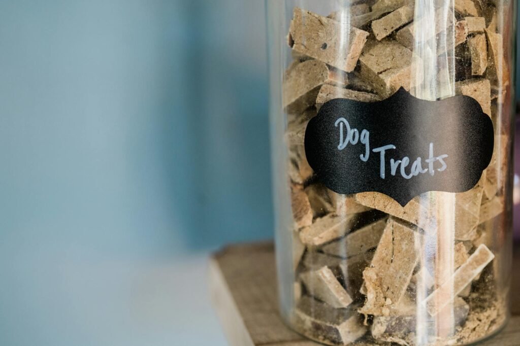 AI Pet Food Label Analyzer