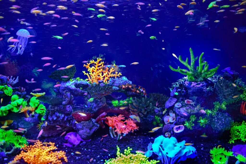 Aquarium starter kits — pick a tank you won't regret