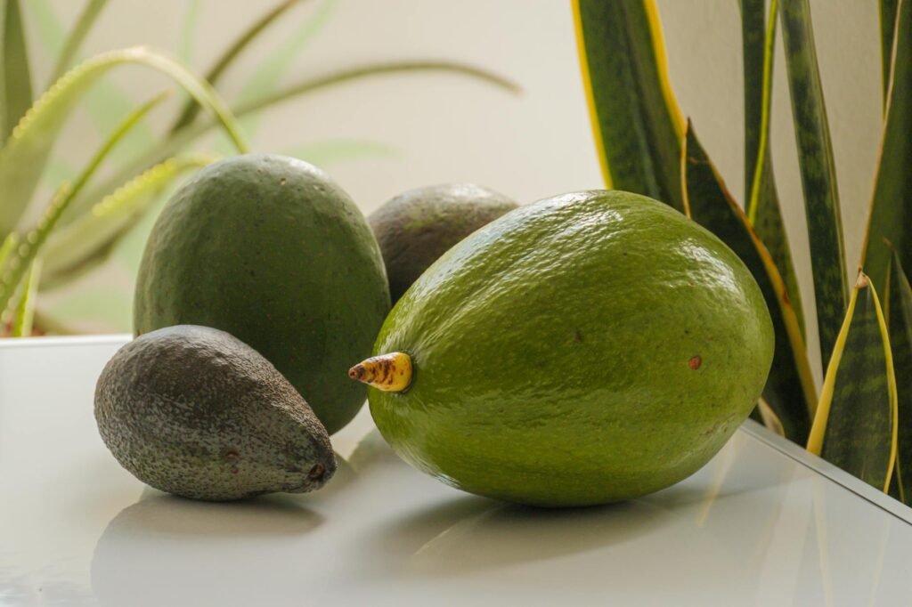Avocado