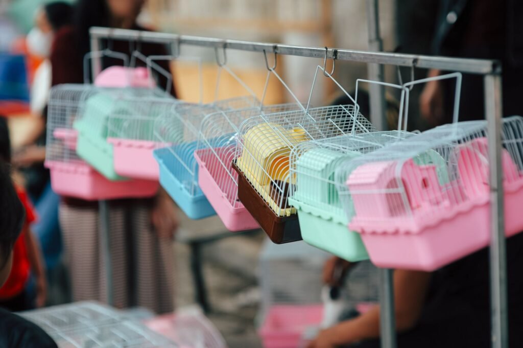 Bird cage bedding — keep it simple, change it daily