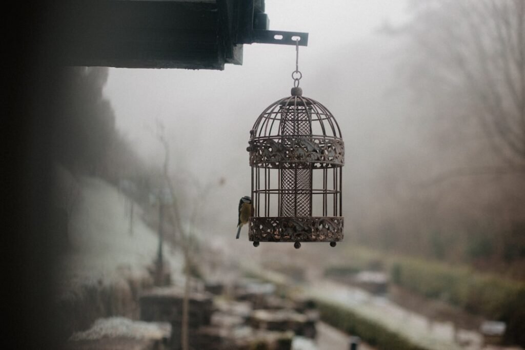Bird cages — bigger always, bar spacing matters most