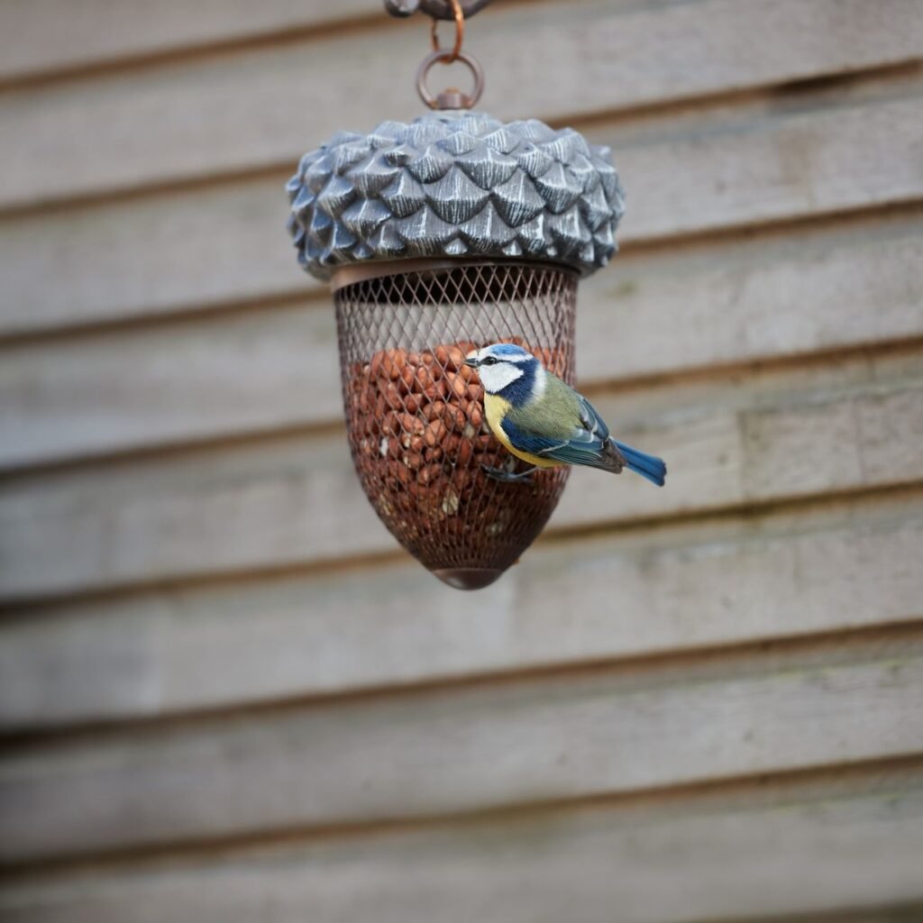 Bird feeders & waterers — get hygiene right