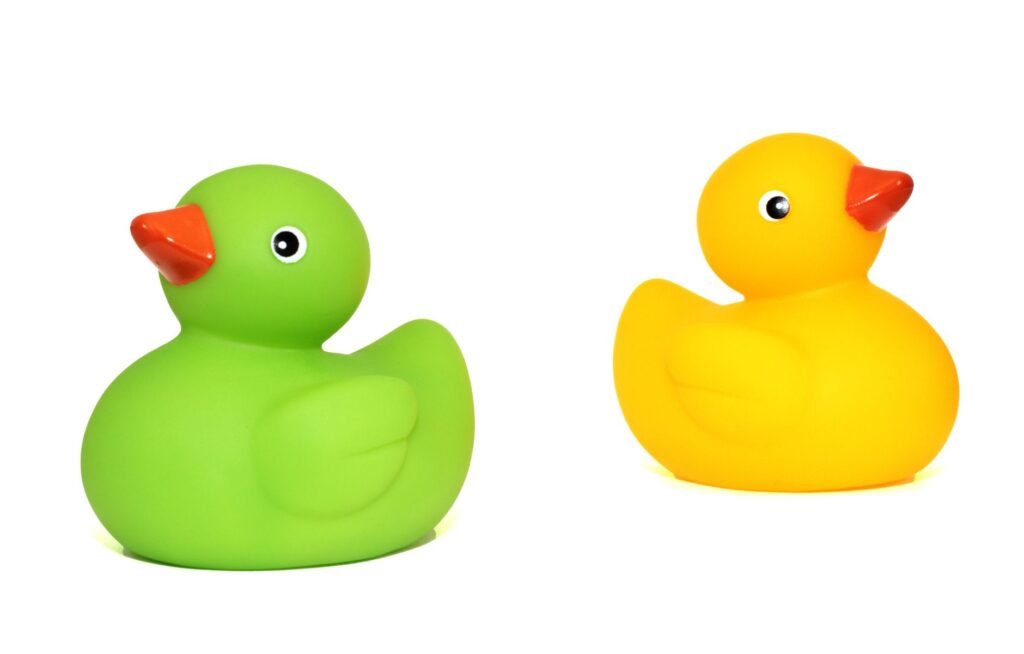 Bird toys — sanity, not decoration