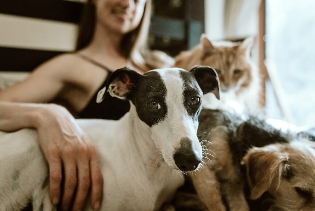 Friendly pet owner with a dog and cat