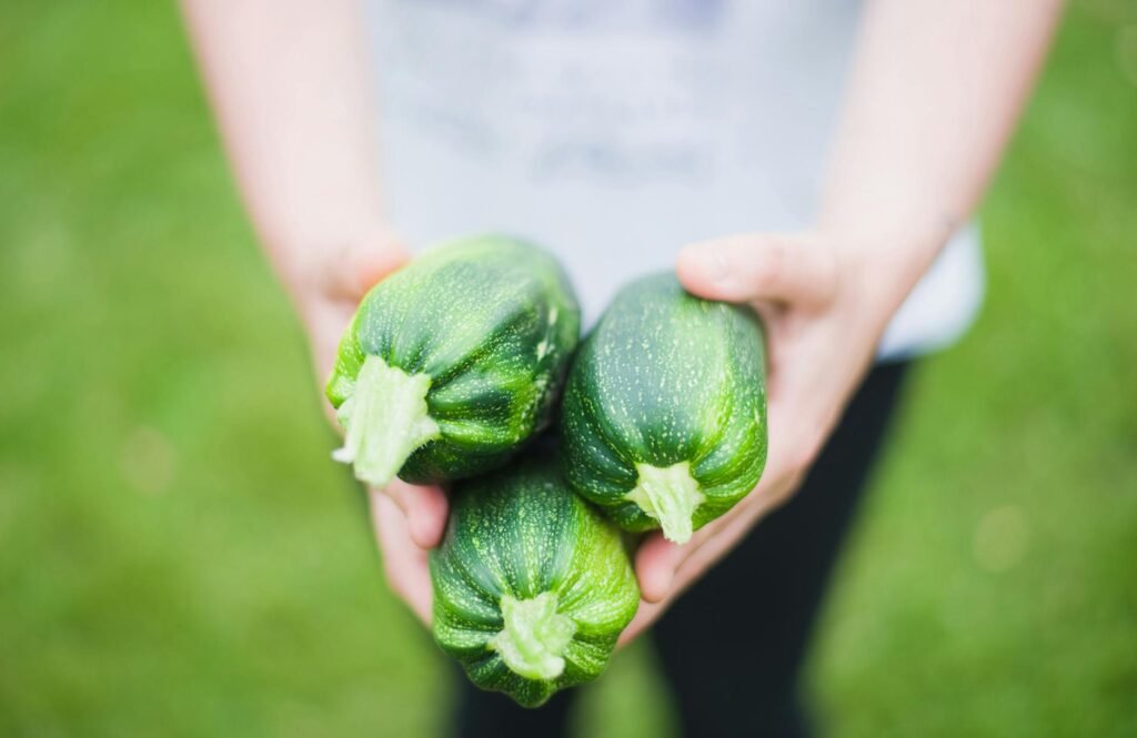 Courgette (Zucchini)
