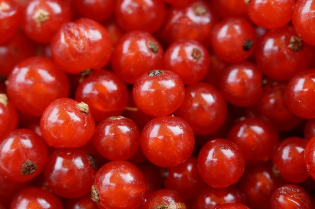 Currants