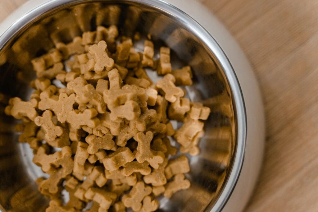 Daily Pet Feeding Schedule