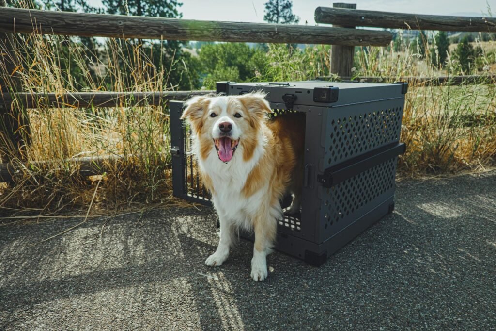 Dog Crate Size Calculator