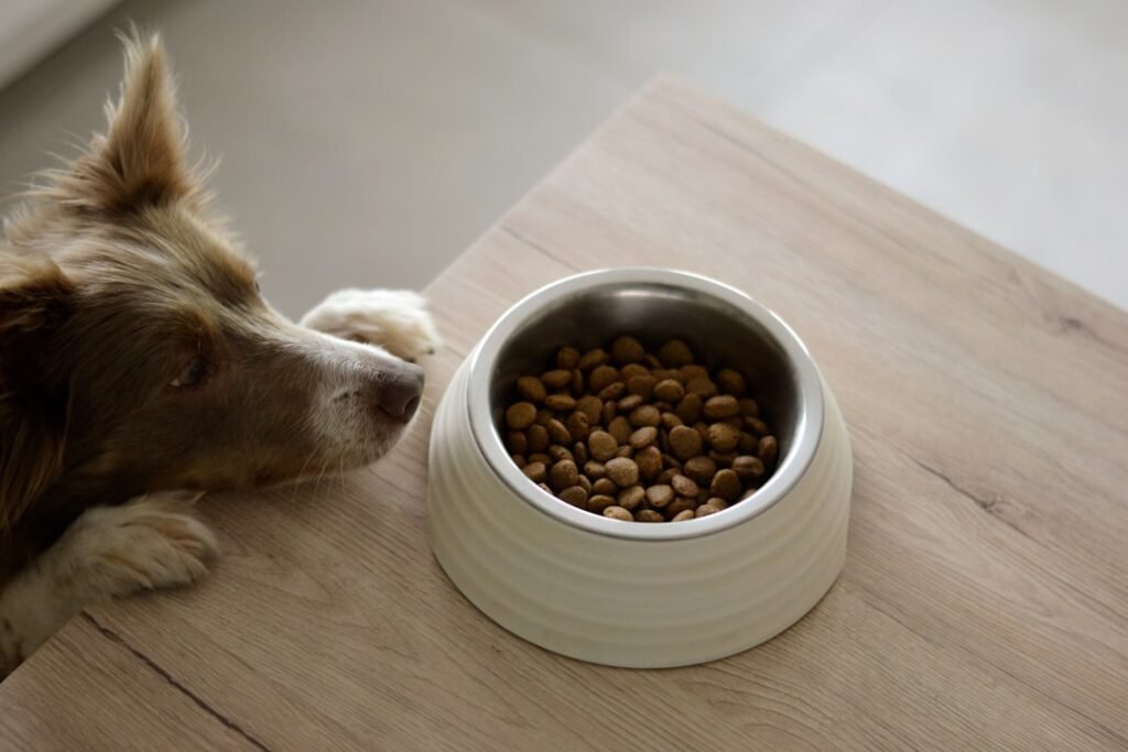 Dog Food Portion Calculator