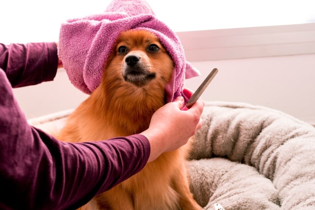 Dog grooming & care — keep skin, coat & nails right