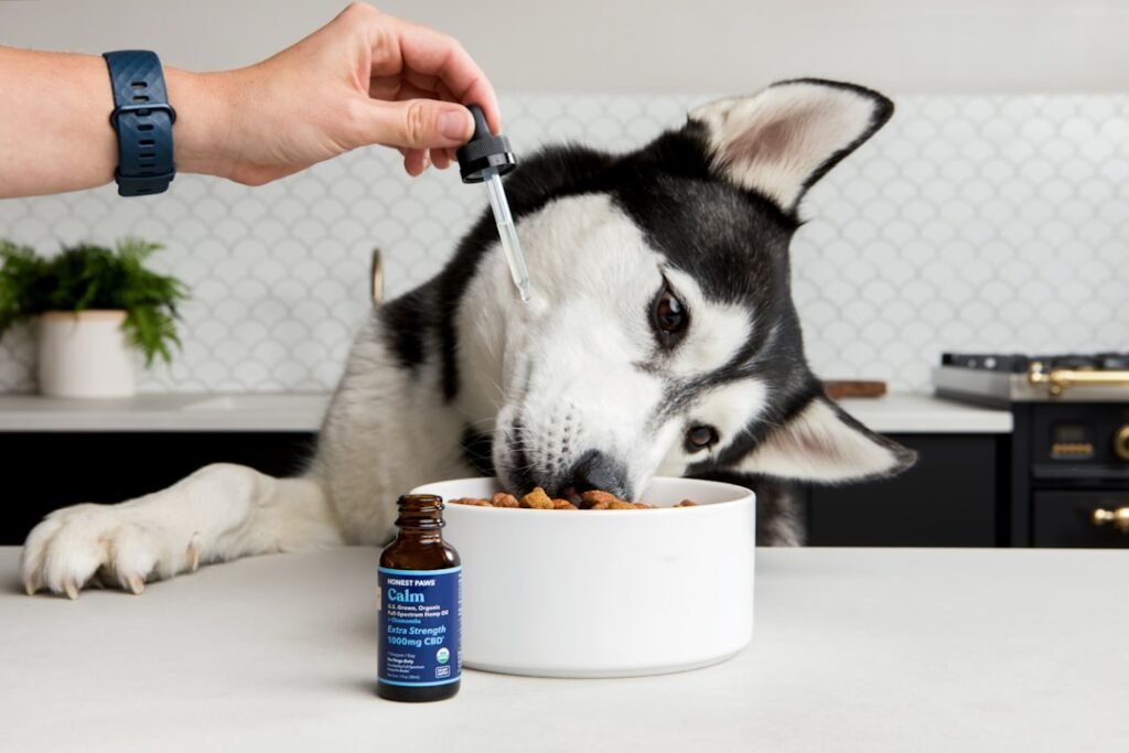 Dog supplements — what works, what's marketing