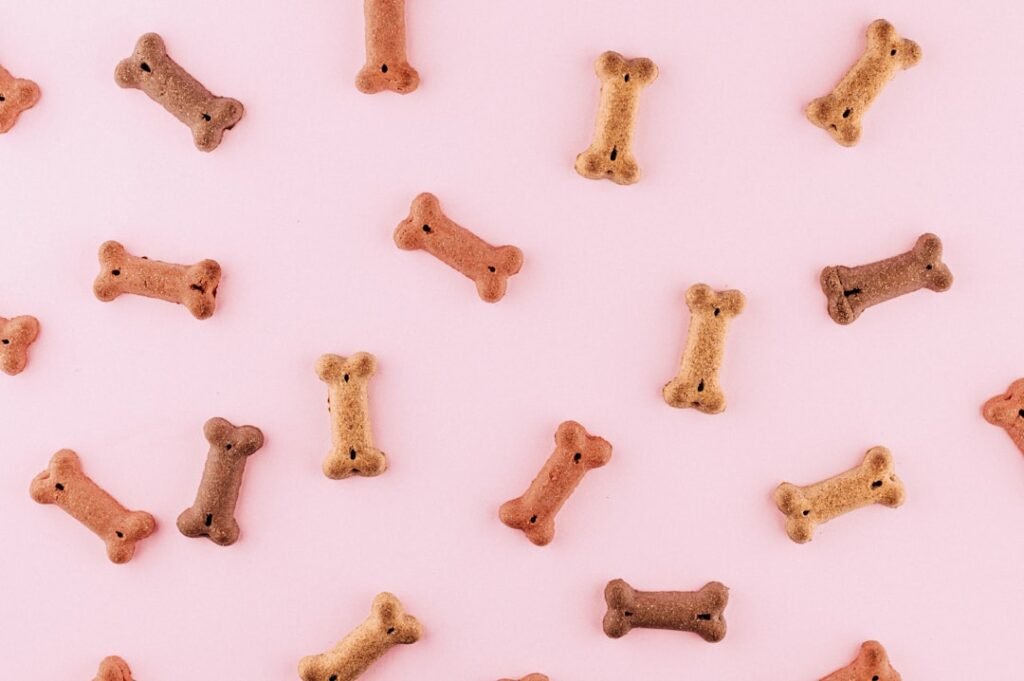 Dog toys — match the toy to the dog