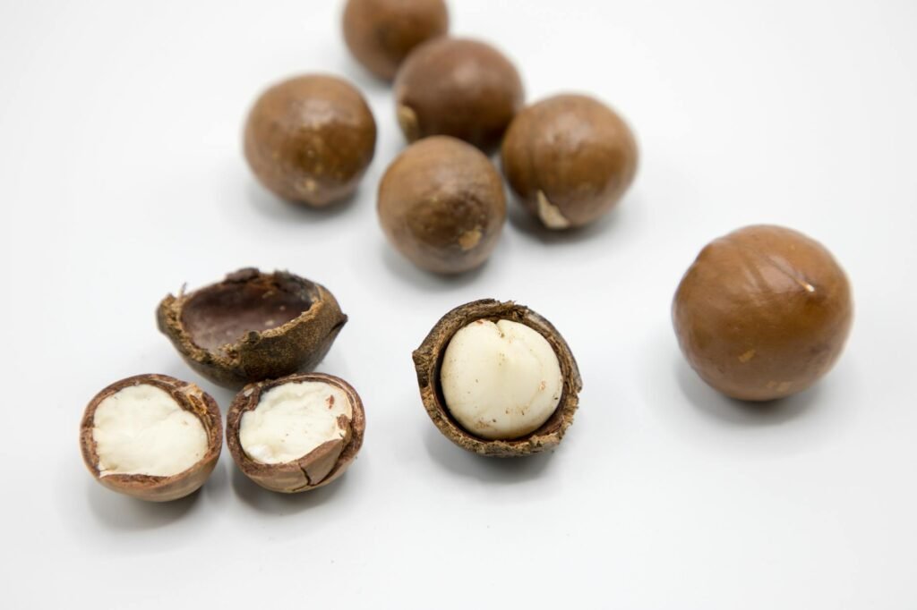 Macadamia Nuts