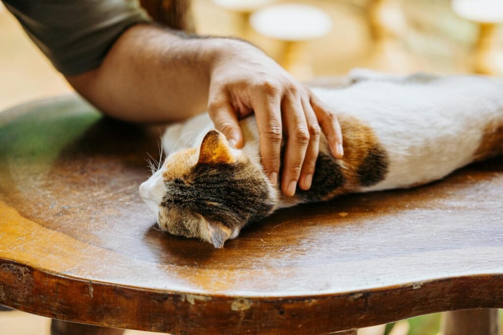 Pet Cost of Ownership Calculator