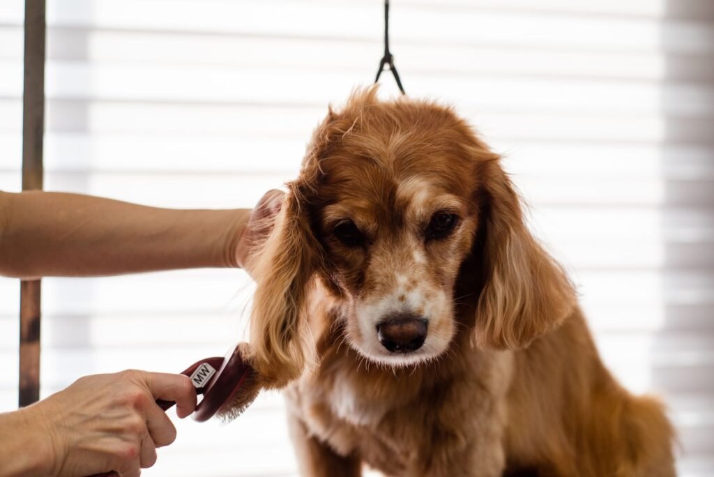 Pet Grooming Reminders