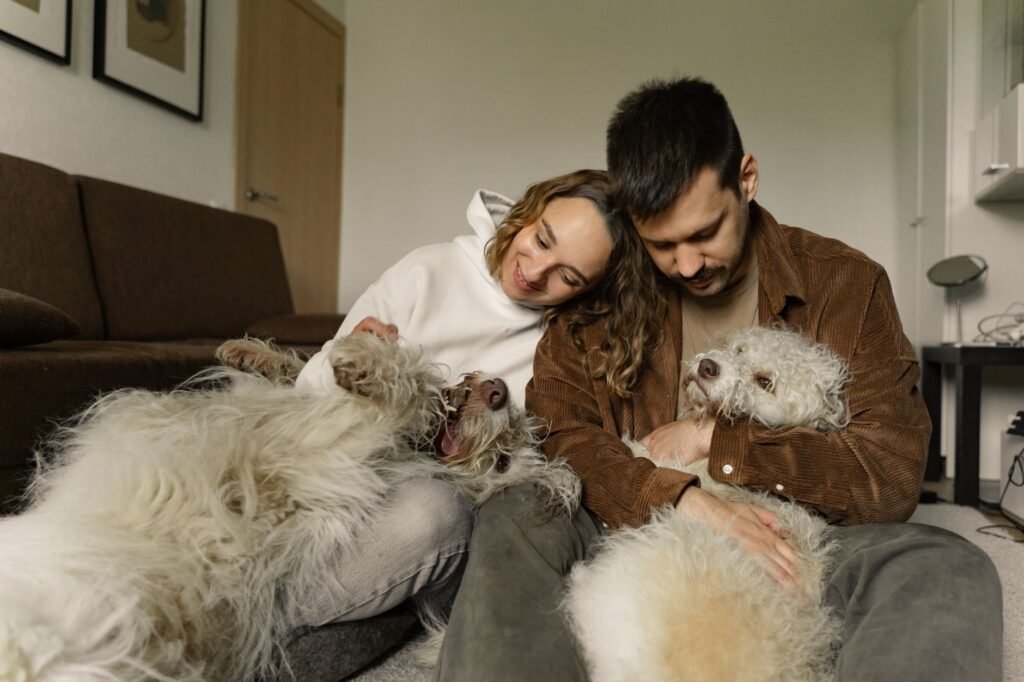 Pet Life Timeline Builder