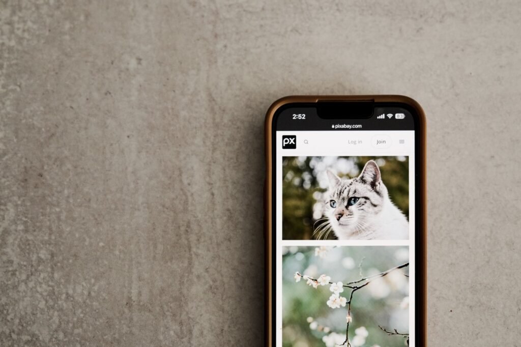Pet Photo Gallery Builder