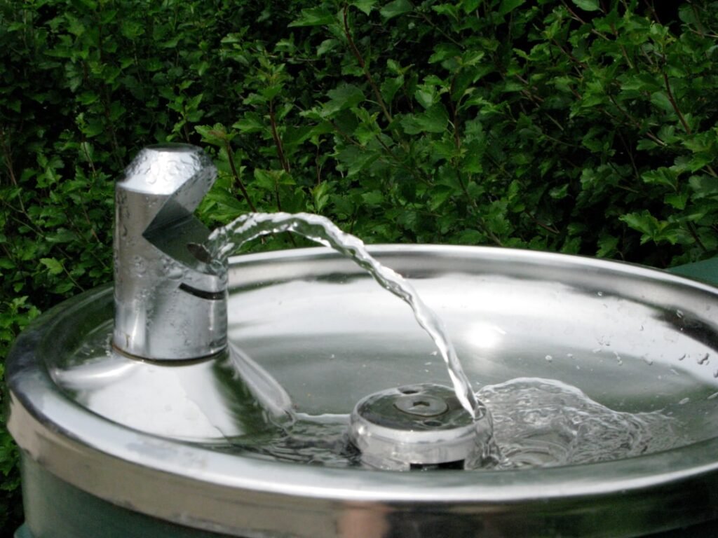 Pet Water Intake Calculator