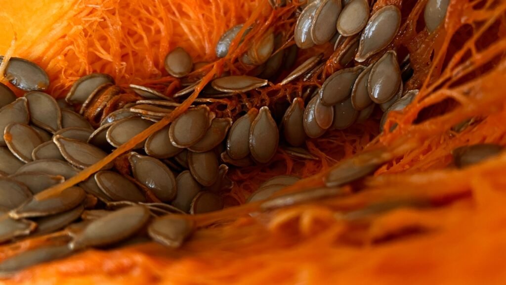 Pumpkin Seeds