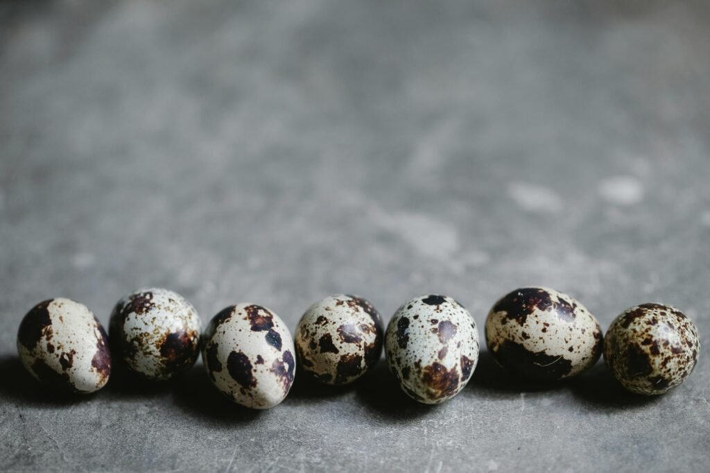 Quail Eggs