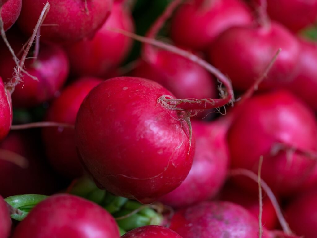 Radish
