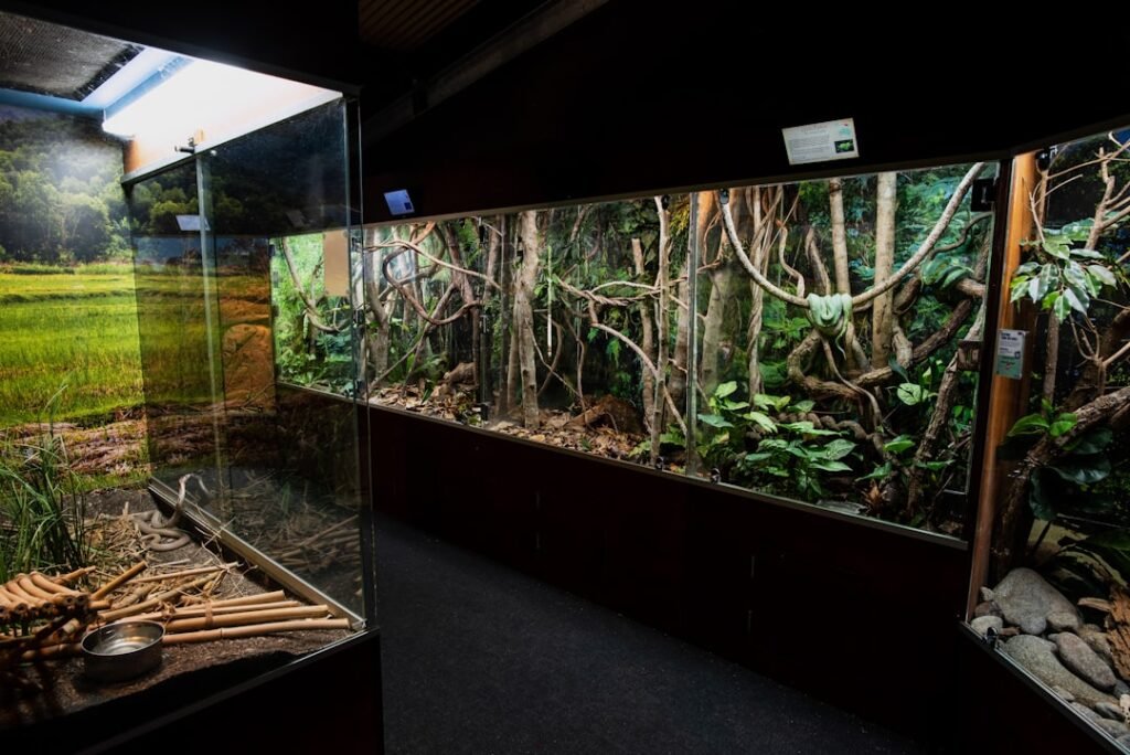 Reptile enclosures — bigger always, species-specific always