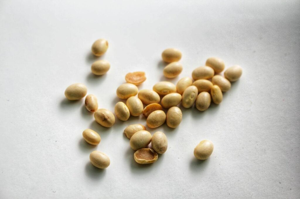 Soy