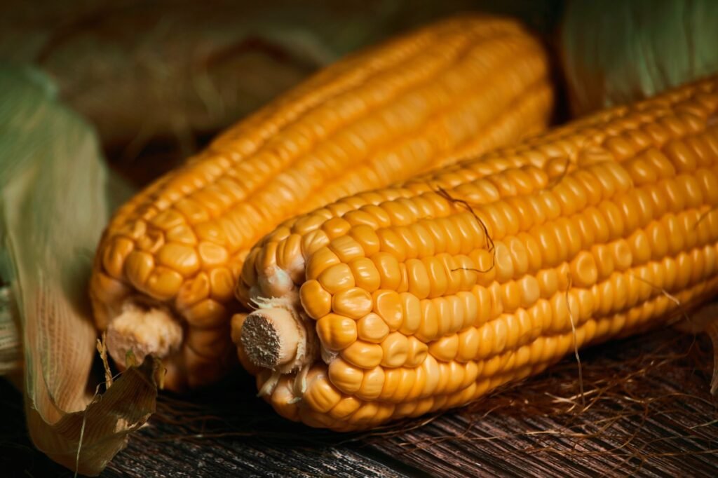 Sweet Corn