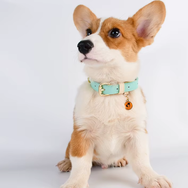 Genuine Leather Dog Collar — Soft, Adjustable, Sizes S–L — image 4 Genuine Leather Dog Collar — Soft, Adjustable, Sizes S–L