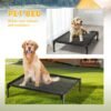 Elevated Mesh Pet Bed — Raised Breathable Cot for Indoor & Outdoor Use