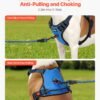 No-Pull Dog Harness for Medium & Large Dogs — Front & Back Clip, 5ft Leash Included — image 1 No-Pull Dog Harness for Medium & Large Dogs — Front & Back Clip, 5ft Leash Included