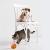 Self-Rotating Interactive Cat Ball — USB Rechargeable Automatic Cat Toy — image 1 Self-Rotating Interactive Cat Ball — USB Rechargeable Automatic Cat Toy