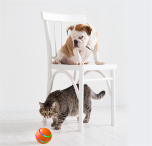 Self-Rotating Interactive Cat Ball — USB Rechargeable Automatic Cat Toy
