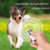Self-Rotating Interactive Cat Ball — USB Rechargeable Automatic Cat Toy — image 3 Self-Rotating Interactive Cat Ball — USB Rechargeable Automatic Cat Toy