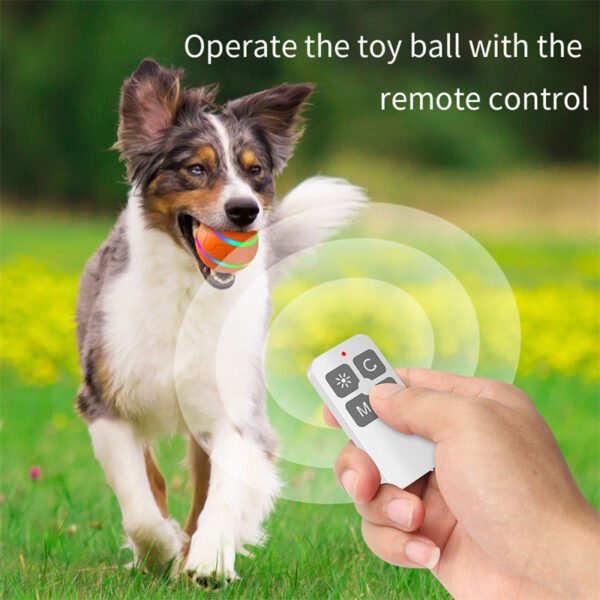 Self-Rotating Interactive Cat Ball — USB Rechargeable Automatic Cat Toy — image 3 Self-Rotating Interactive Cat Ball — USB Rechargeable Automatic Cat Toy