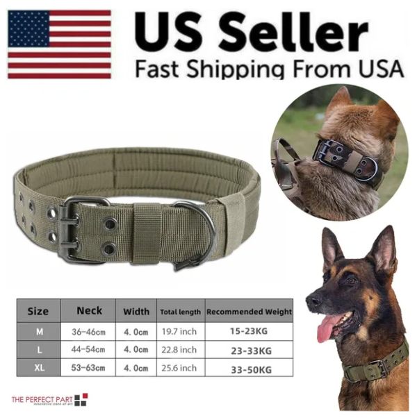 Tactical Dog Collar — 1000D Nylon, Neoprene Lined, Metal Buckle