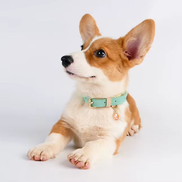 Genuine Leather Dog Collar — Soft, Adjustable, Sizes S–L — image 2 Genuine Leather Dog Collar — Soft, Adjustable, Sizes S–L