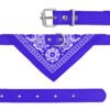 Bandana Dog Collar — Adjustable Leather Collar with Sewn-On Scarf