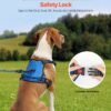 No-Pull Dog Harness for Medium & Large Dogs — Front & Back Clip, 5ft Leash Included — image 2 No-Pull Dog Harness for Medium & Large Dogs — Front & Back Clip, 5ft Leash Included