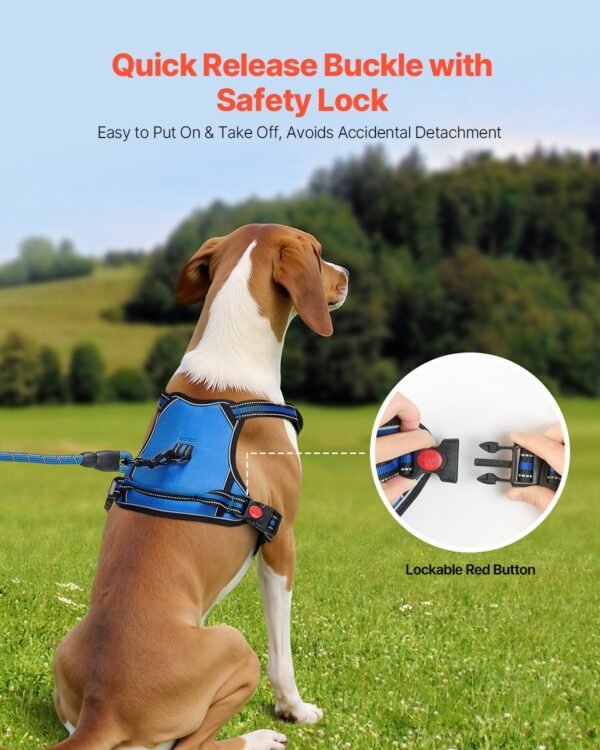 No-Pull Dog Harness for Medium & Large Dogs — Front & Back Clip, 5ft Leash Included — image 2 No-Pull Dog Harness for Medium & Large Dogs — Front & Back Clip, 5ft Leash Included