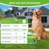 Pet Dental Powder — Daily Plaque & Breath Care for Dogs and Cats — image 4 Pet Dental Powder — Daily Plaque & Breath Care for Dogs and Cats