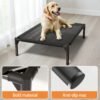 Elevated Mesh Pet Bed — Raised Breathable Cot for Indoor & Outdoor Use