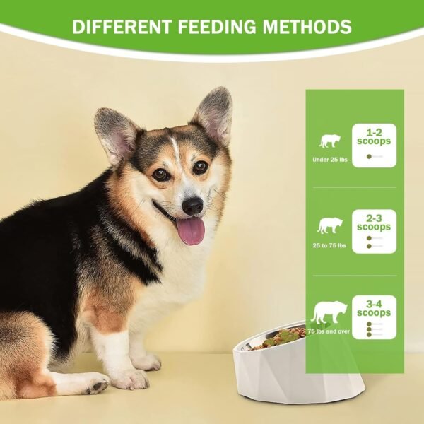 Pet Dental Powder — Daily Plaque & Breath Care for Dogs and Cats — image 1 Pet Dental Powder — Daily Plaque & Breath Care for Dogs and Cats