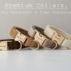 Velvet Dog Collar & Lead Set — Bow Tie, Cotton Lined, Sizes XS–L — image 1 Velvet Dog Collar & Lead Set — Bow Tie, Cotton Lined, Sizes XS–L