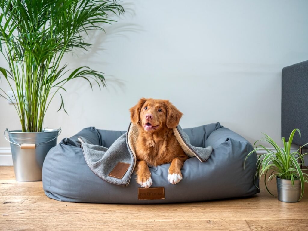 Dog resting in a grey pet bed at home