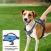 No-Pull Dog Harness for Medium & Large Dogs — Front & Back Clip, 5ft Leash Included — image 5 No-Pull Dog Harness for Medium & Large Dogs — Front & Back Clip, 5ft Leash Included