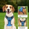 No-Pull Dog Harness for Medium & Large Dogs — Front & Back Clip, 5ft Leash Included — image 3 No-Pull Dog Harness for Medium & Large Dogs — Front & Back Clip, 5ft Leash Included